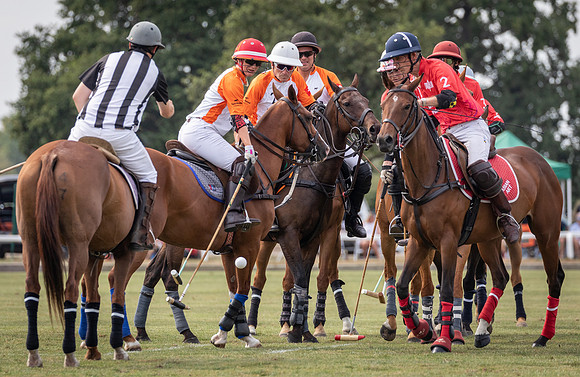 RCBPC Festival 2022-24