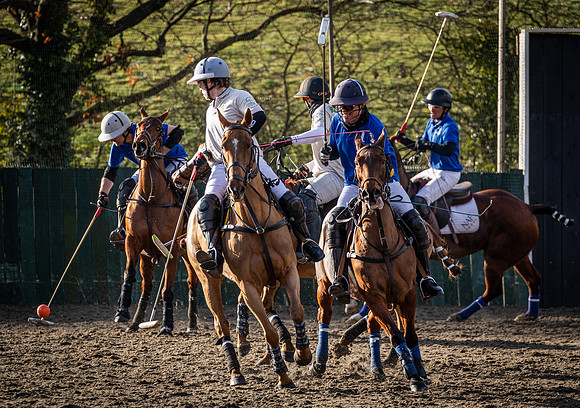 Arena Gold Cup 2023-300