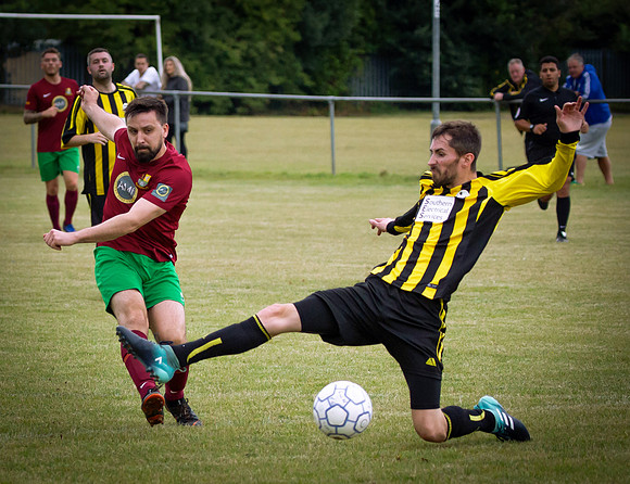 Wasps11