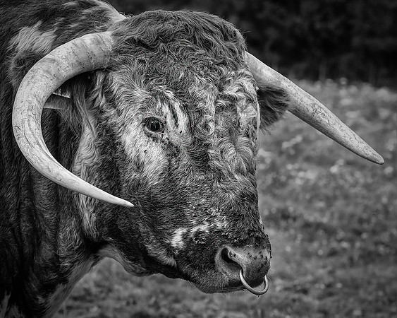 Mudds Bank Farm-14