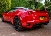 lotus-12