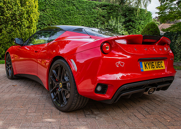 lotus-12