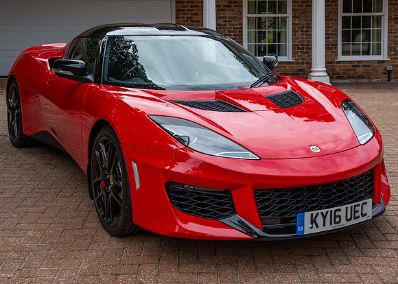 lotus-29