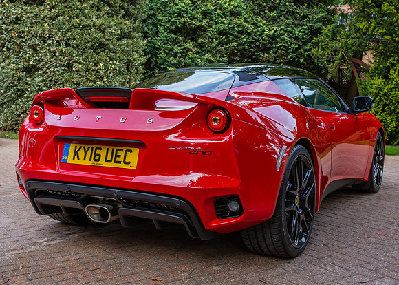lotus-9