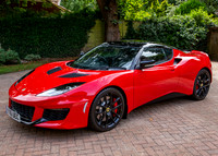 lotus-14