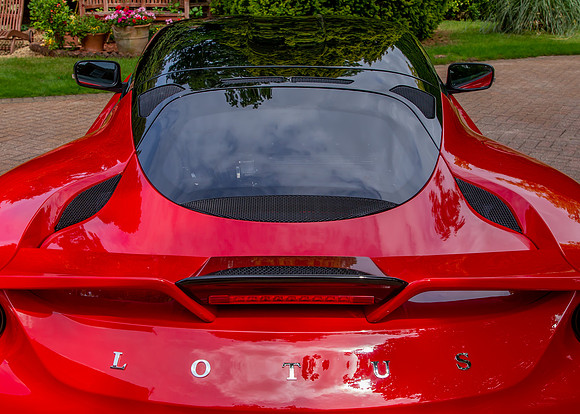 lotus-32