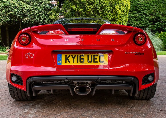 lotus-10
