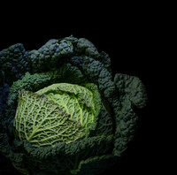 cabbage-1
