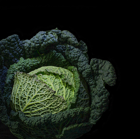 cabbage-1