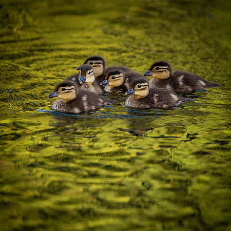 thames-path-10