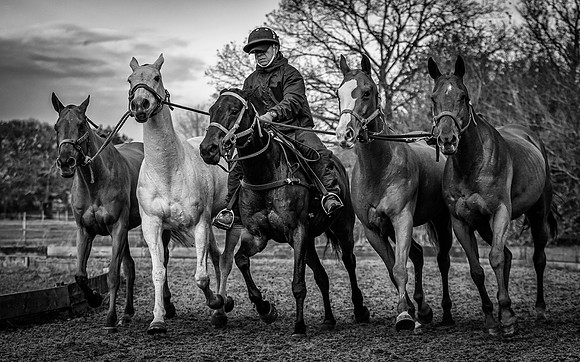 Polo Club-131