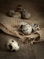 quail eggs -4