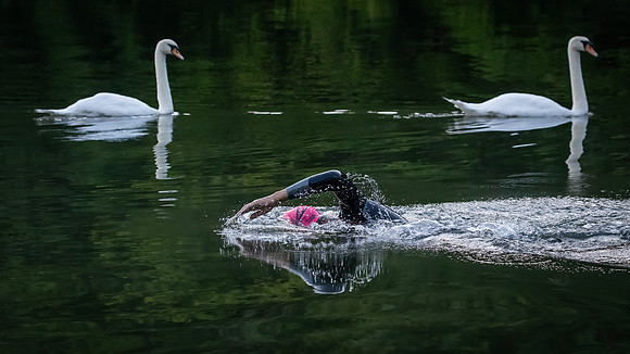 swimmer-4