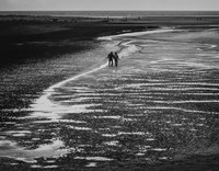 norfolk-1