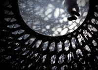 hive1