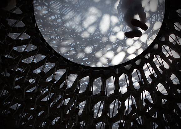 hive1