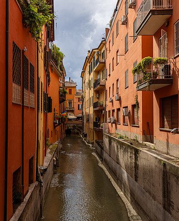 Bologna-82