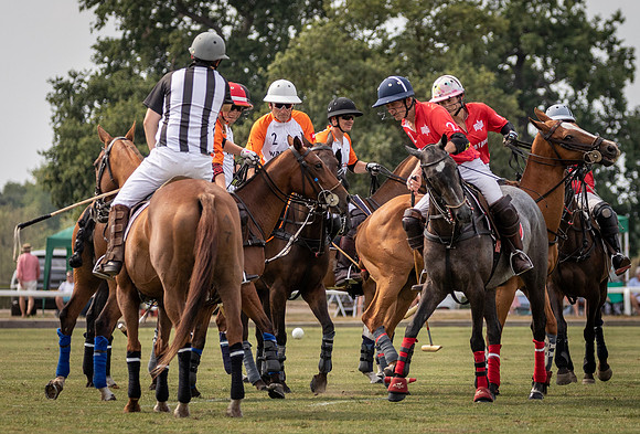 Polo Festival 2022-12