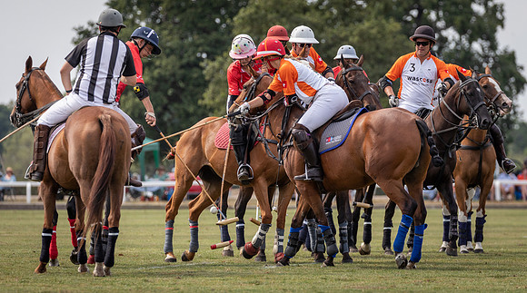 Polo Festival 2022-16