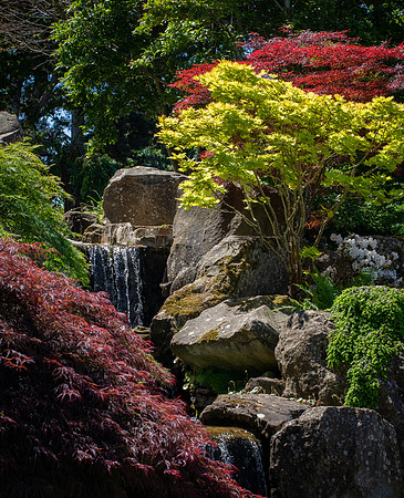RHS Wisley-25