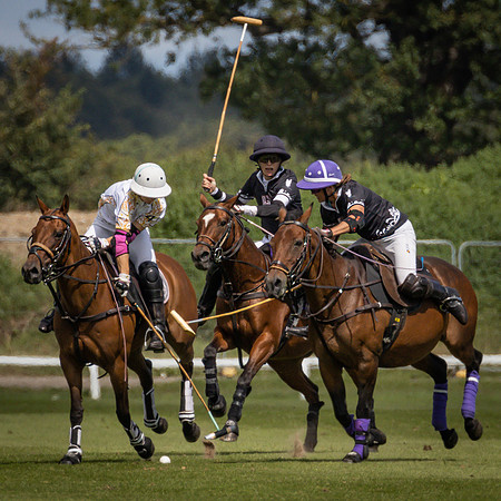 Polo Club-16