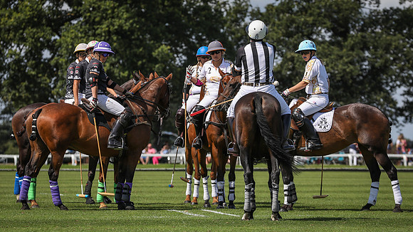Polo Club-6