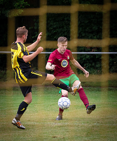 Wasps34