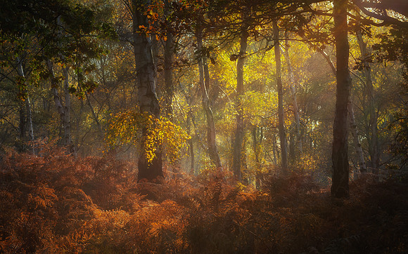 landscape-1