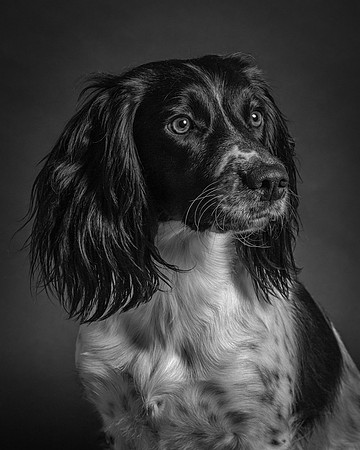 bronte-studio-72