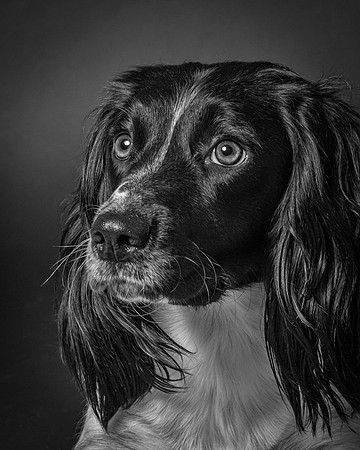 bronte-studio-76
