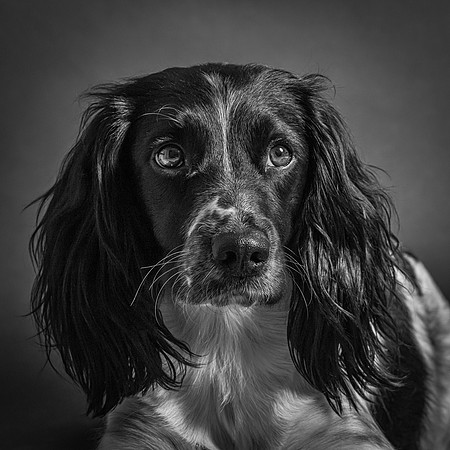 bronte-studio-80