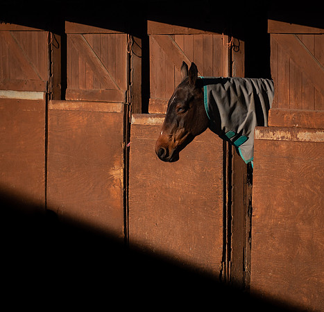 Polo Club-110