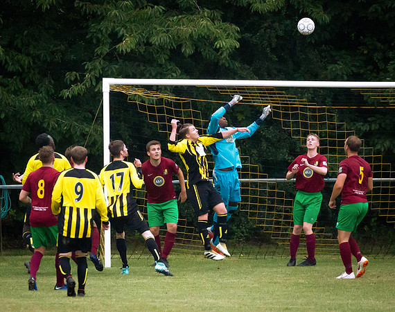 Wasps27