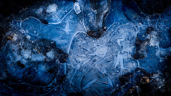 planet puddle-4