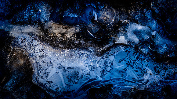 planet puddle-7
