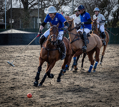 Arena Gold Cup 2023-234