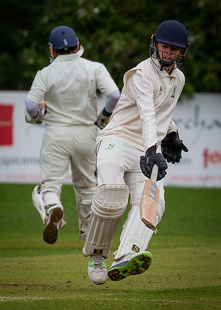 Cricket-9