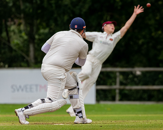 Cricket-13