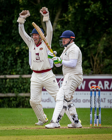 Cricket-22