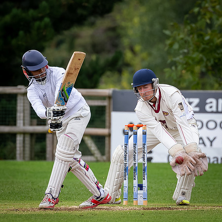 Cricket-23