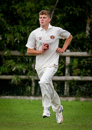 Cricket-24