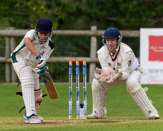 Cricket-25