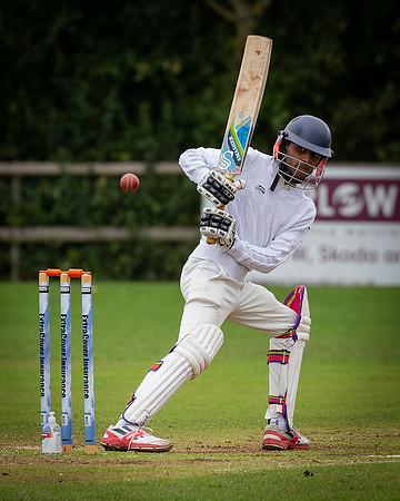 Cricket-26