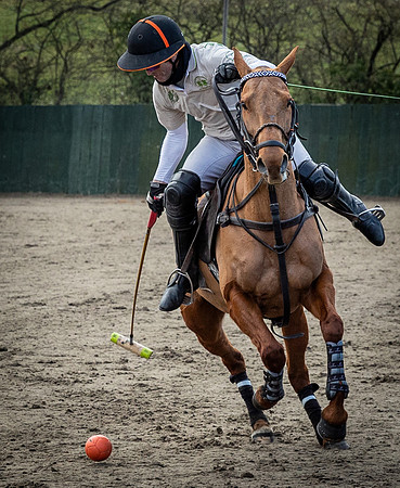 Arena Gold Cup 2023-208