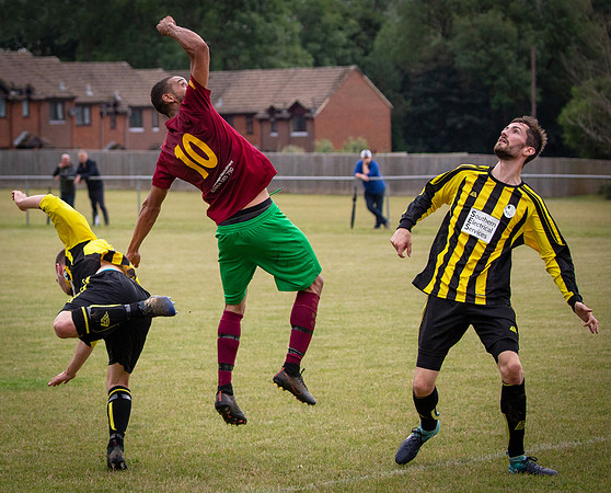 Wasps22