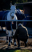 Polo Club-14
