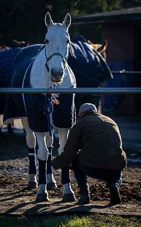 Polo Club-14