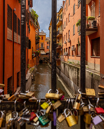 Bologna-83