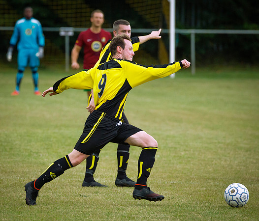 Wasps18