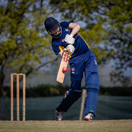T20 Cricket-8